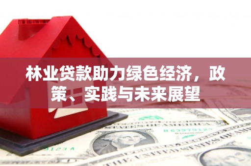 长滨林业贷款助力绿色经济，政策、实践与未来展望