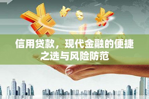 长滨信用贷款，现代金融的便捷之选与风险防范