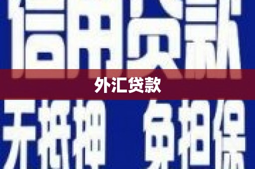 长滨外汇贷款