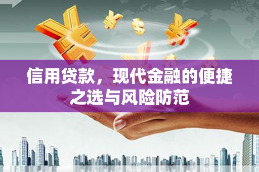 长滨信用贷款，现代金融的便捷之选与风险防范