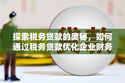 长滨探索税务贷款的奥秘，如何通过税务贷款优化企业财务