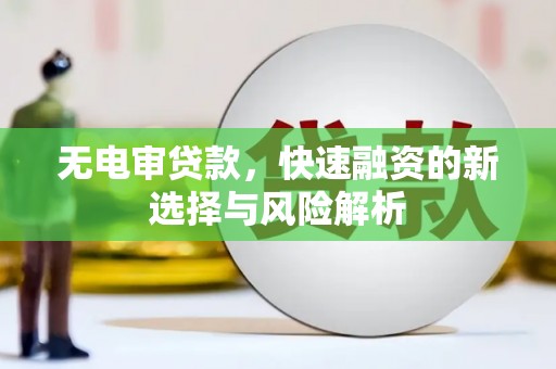 长滨无电审贷款，快速融资的新选择与风险解析