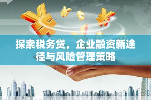 长滨探索税务贷，企业融资新途径与风险管理策略