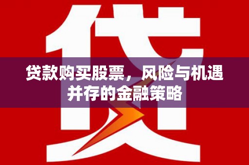 长滨贷款购买股票，风险与机遇并存的金融策略