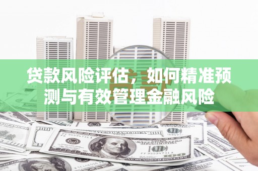 长滨贷款风险评估，如何精准预测与有效管理金融风险