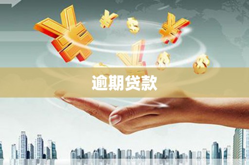 长滨逾期贷款