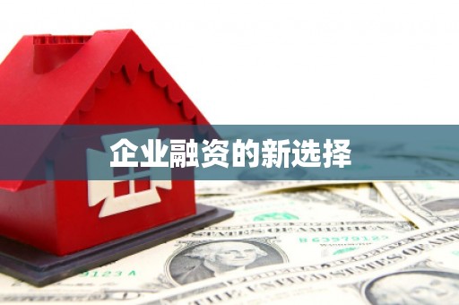 长滨企业融资的新选择