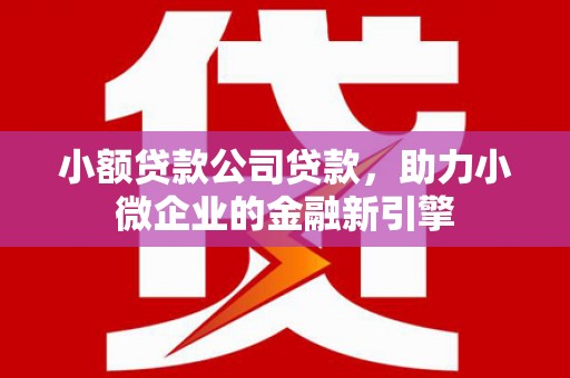 长滨小额贷款公司贷款，助力小微企业的金融新引擎