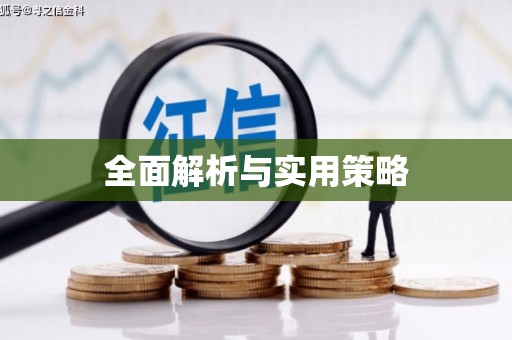 长滨全面解析与实用策略