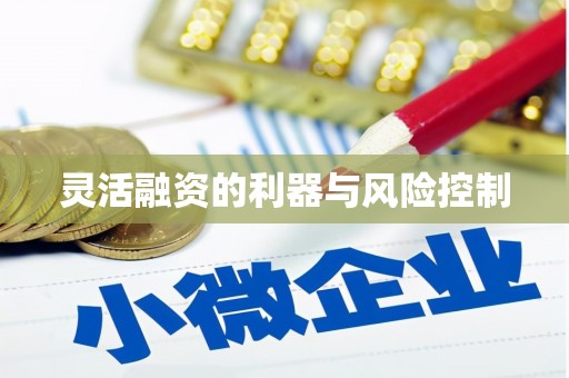 长滨灵活融资的利器与风险控制