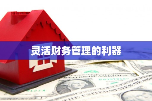 长滨灵活财务管理的利器
