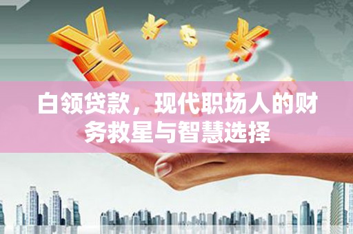 长滨白领贷款，现代职场人的财务救星与智慧选择