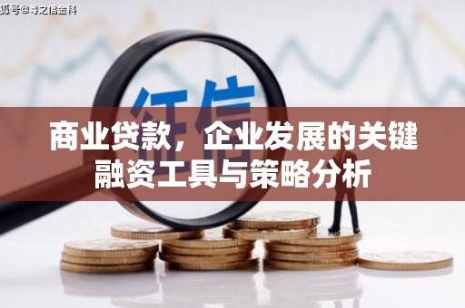 长滨商业贷款，企业发展的关键融资工具与策略分析
