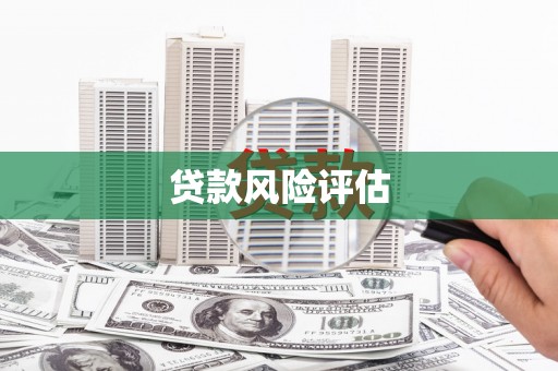 长滨贷款风险评估