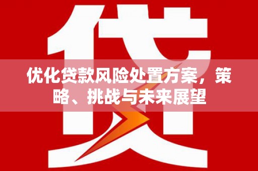 长滨优化贷款风险处置方案，策略、挑战与未来展望
