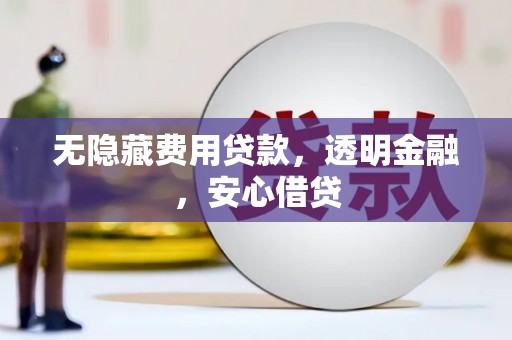 长滨无隐藏费用贷款，透明金融，安心借贷