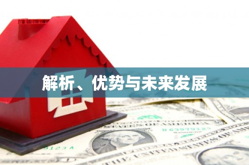 长滨解析、优势与未来发展