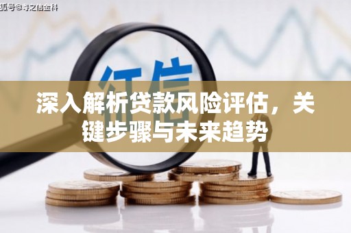 长滨深入解析贷款风险评估，关键步骤与未来趋势