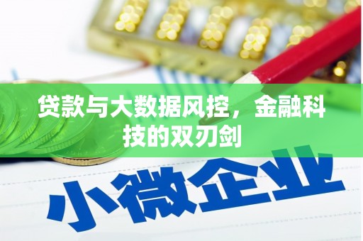 长滨贷款与大数据风控，金融科技的双刃剑