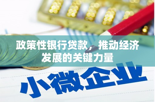 长滨政策性银行贷款，推动经济发展的关键力量