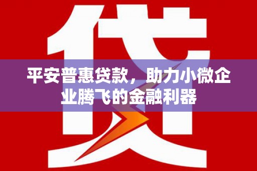 长滨平安普惠贷款，助力小微企业腾飞的金融利器