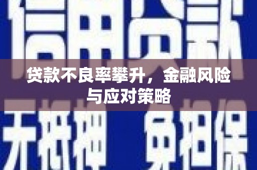 长滨贷款不良率攀升，金融风险与应对策略