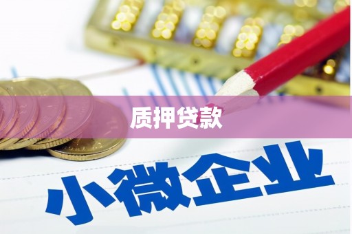 长滨质押贷款