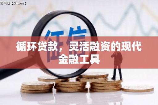 长滨循环贷款，灵活融资的现代金融工具