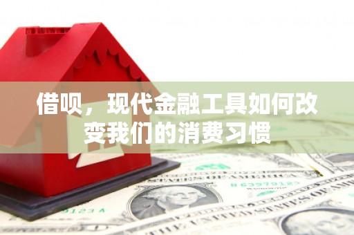 长滨借呗，现代金融工具如何改变我们的消费习惯