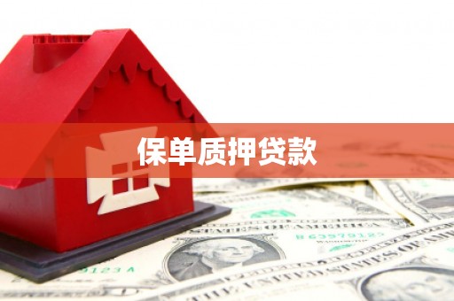 长滨保单质押贷款