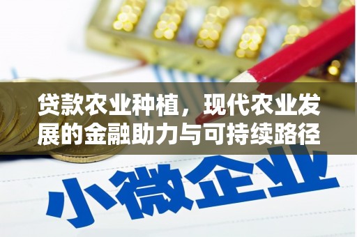 长滨贷款农业种植，现代农业发展的金融助力与可持续路径