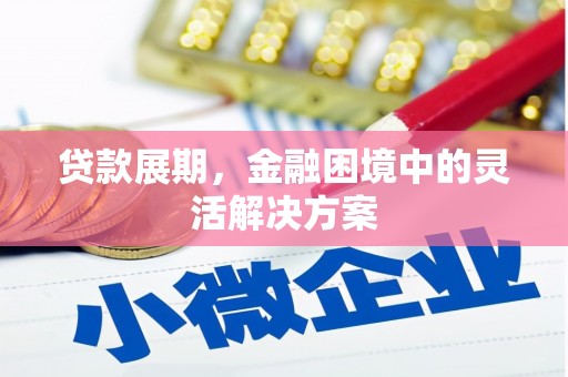 长滨贷款展期，金融困境中的灵活解决方案