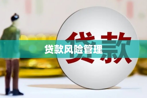 长滨贷款风险管理