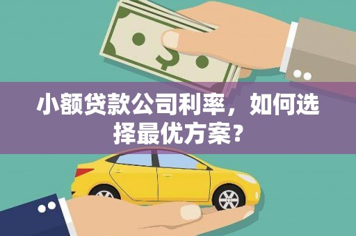长滨小额贷款公司利率，如何选择最优方案？