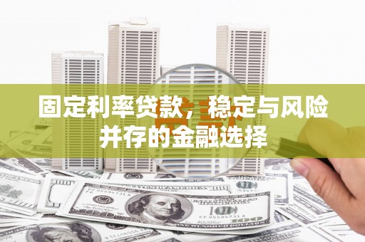 长滨固定利率贷款，稳定与风险并存的金融选择