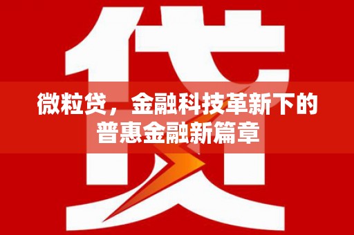 长滨微粒贷，金融科技革新下的普惠金融新篇章