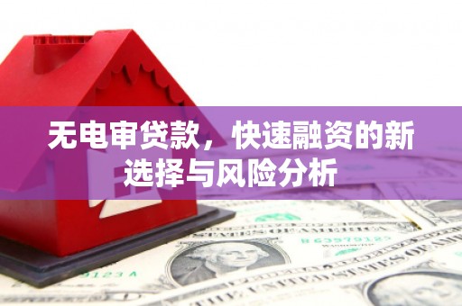 长滨无电审贷款，快速融资的新选择与风险分析