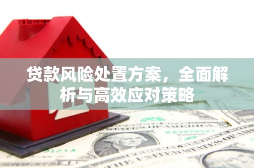 长滨贷款风险处置方案，全面解析与高效应对策略