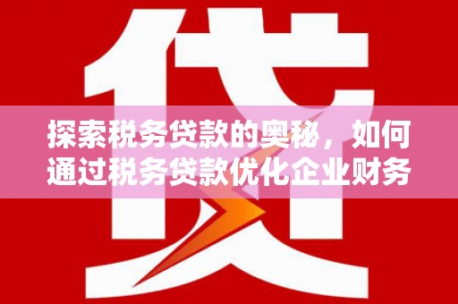 长滨探索税务贷款的奥秘，如何通过税务贷款优化企业财务