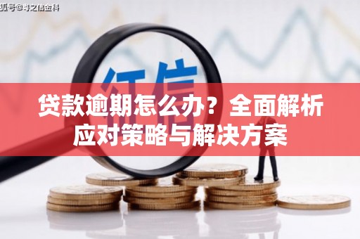 长滨贷款逾期怎么办？全面解析应对策略与解决方案