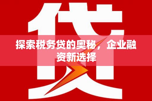 长滨探索税务贷的奥秘，企业融资新选择
