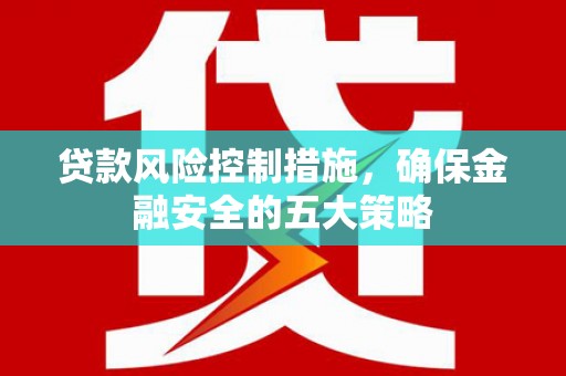 长滨贷款风险控制措施，确保金融安全的五大策略
