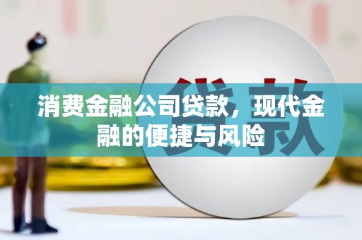 长滨消费金融公司贷款，现代金融的便捷与风险