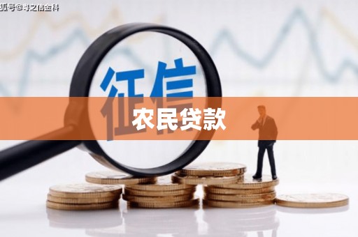 长滨农民贷款