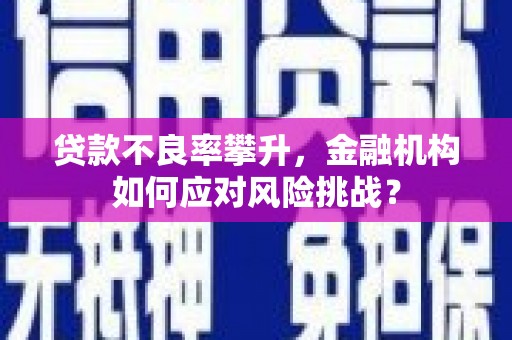 长滨贷款不良率攀升，金融机构如何应对风险挑战？