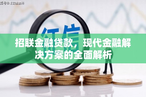 长滨招联金融贷款，现代金融解决方案的全面解析