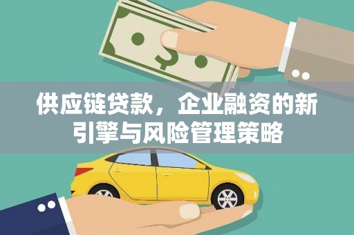 长滨供应链贷款，企业融资的新引擎与风险管理策略