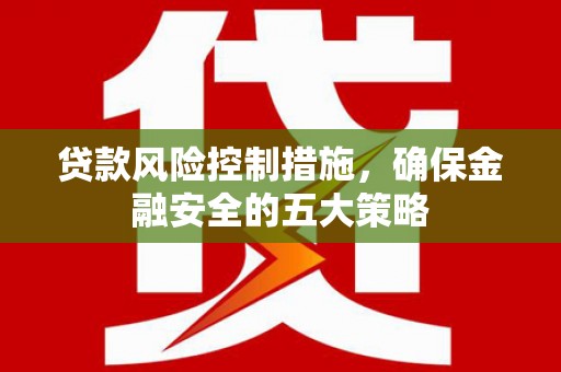长滨贷款风险控制措施，确保金融安全的五大策略