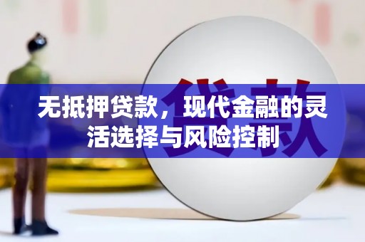 长滨无抵押贷款，现代金融的灵活选择与风险控制