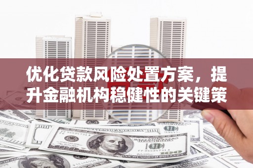 长滨优化贷款风险处置方案，提升金融机构稳健性的关键策略
